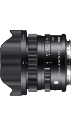 17mm F4 DG DN